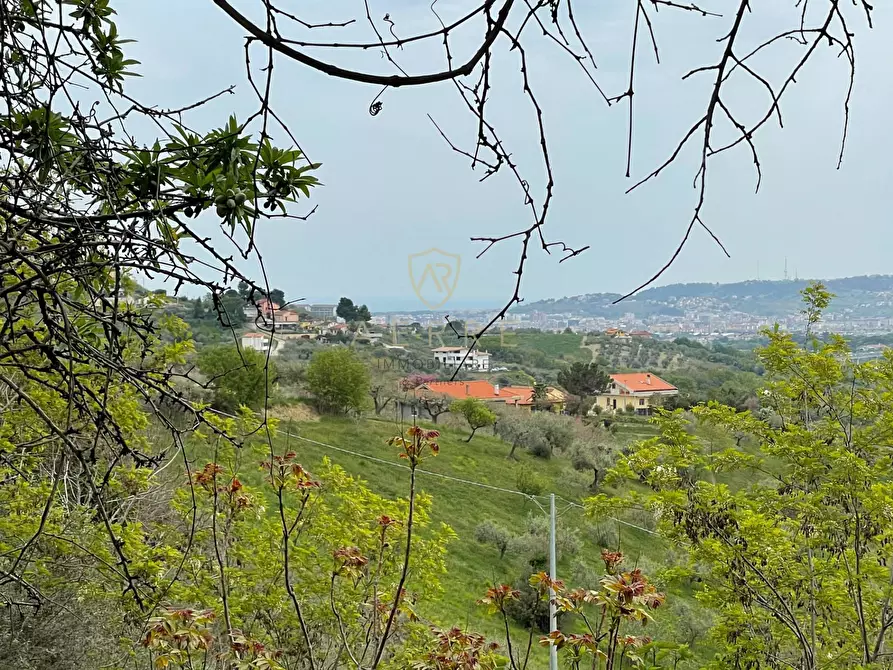 Immagine 3 di Terreno residenziale in vendita  in Strada Vicinale Palmerini a Montesilvano