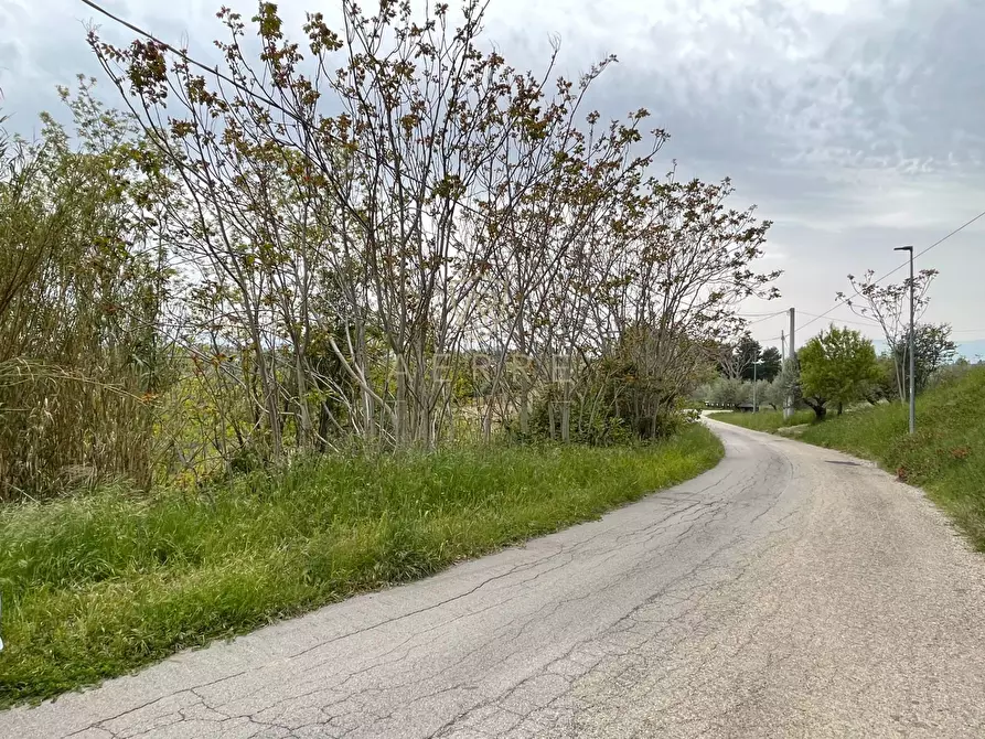 Immagine 7 di Terreno residenziale in vendita  in Strada Vicinale Palmerini a Montesilvano