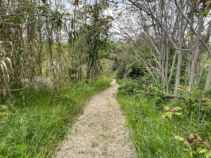 Immagine 8 di Terreno residenziale in vendita  in Strada Vicinale Palmerini a Montesilvano