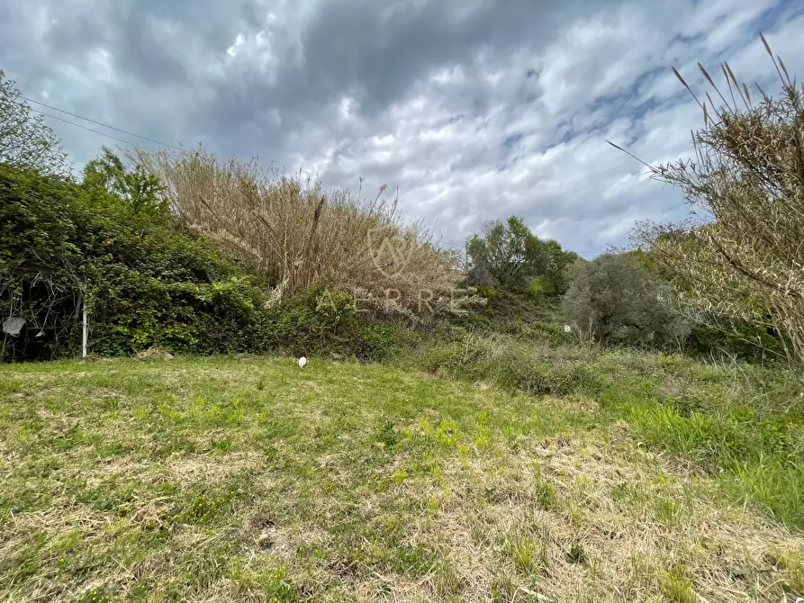Immagine 9 di Terreno residenziale in vendita  in Strada Vicinale Palmerini a Montesilvano