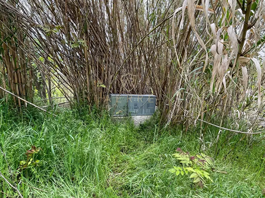 Immagine 10 di Terreno residenziale in vendita  in Strada Vicinale Palmerini a Montesilvano
