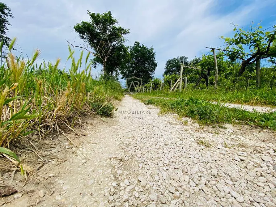 Immagine 22 di Casa indipendente in vendita  in Contrada Maiure 55 a Ari