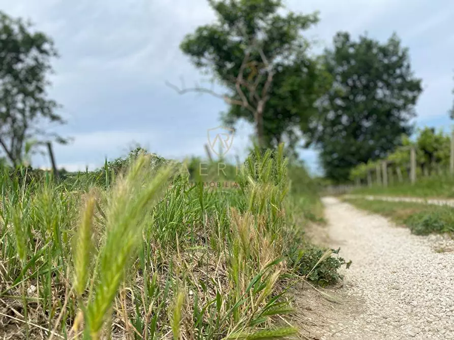 Immagine 19 di Casa indipendente in vendita  in Contrada Maiure 55 a Ari