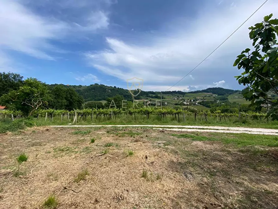 Immagine 21 di Casa indipendente in vendita  in Contrada Maiure 55 a Ari