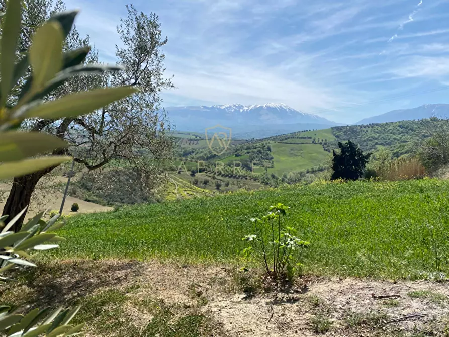 Immagine 26 di Villetta a schiera in vendita  in C.da Casa Andreassi 13 a Abbateggio
