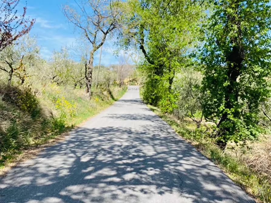 Immagine 23 di Villetta a schiera in vendita  in C.da Casa Andreassi 13 a Abbateggio