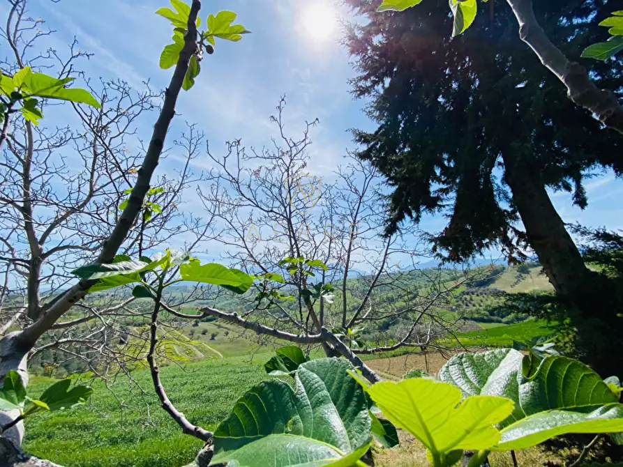 Immagine 25 di Villetta a schiera in vendita  in C.da Casa Andreassi 13 a Abbateggio