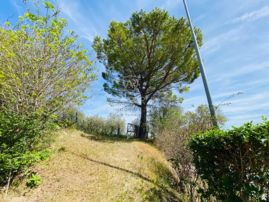 Immagine 28 di Villetta a schiera in vendita  in C.da Casa Andreassi 13 a Abbateggio