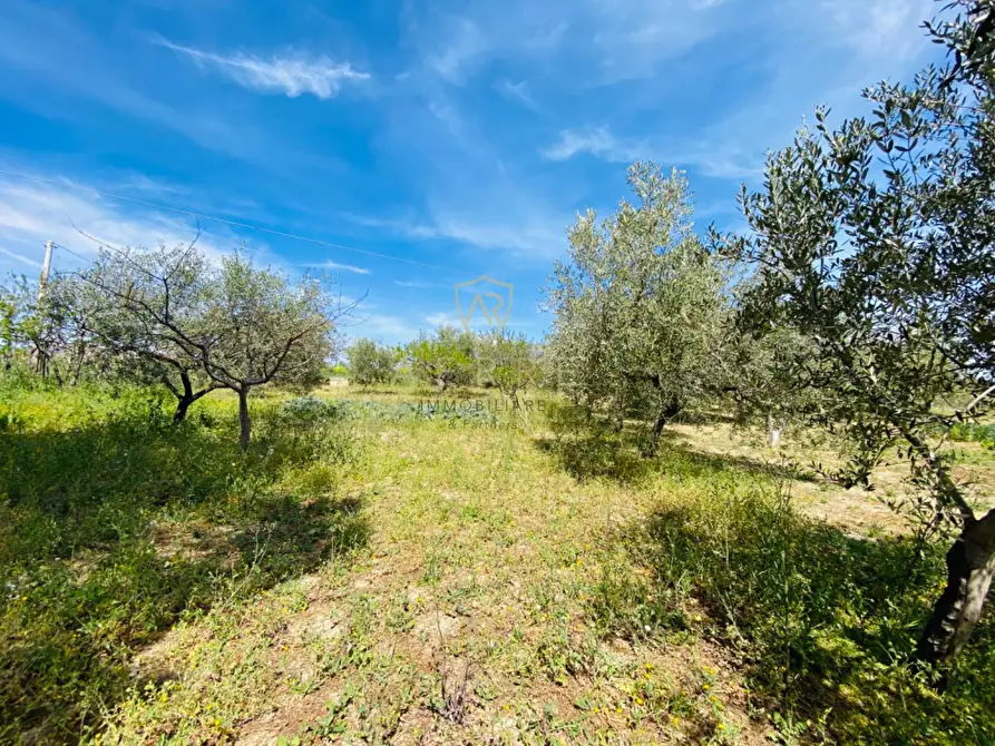 Immagine 21 di Villetta a schiera in vendita  in C.da Casa Andreassi 13 a Abbateggio