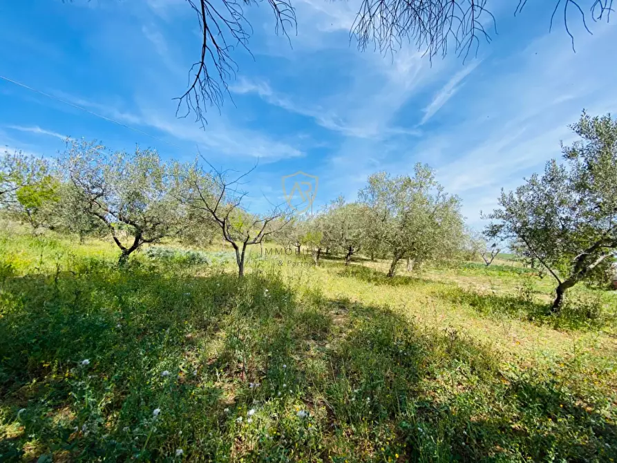 Immagine 22 di Villetta a schiera in vendita  in C.da Casa Andreassi 13 a Abbateggio