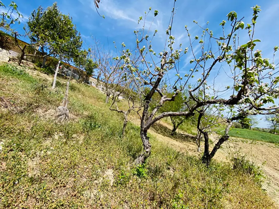 Immagine 29 di Villetta a schiera in vendita  in C.da Casa Andreassi 13 a Abbateggio