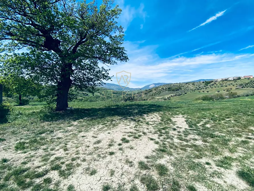 Immagine 38 di Villetta a schiera in vendita  in C.da Casa Andreassi 13 a Abbateggio