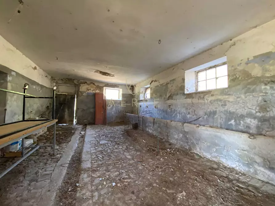 Immagine 12 di Casa indipendente in vendita  in Via Campo Mirabello a Brittoli