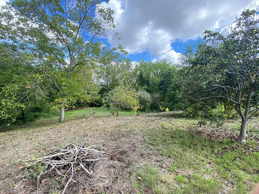 Immagine 2 di Terreno agricolo in vendita  in Via Giovanni Verga a Cepagatti