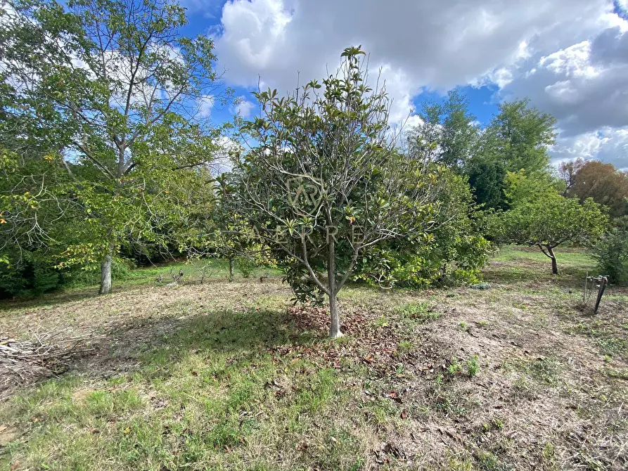 Immagine 4 di Terreno agricolo in vendita  in Via Giovanni Verga a Cepagatti