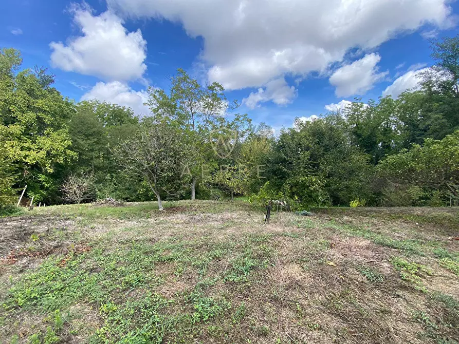 Immagine 5 di Terreno agricolo in vendita  in Via Giovanni Verga a Cepagatti