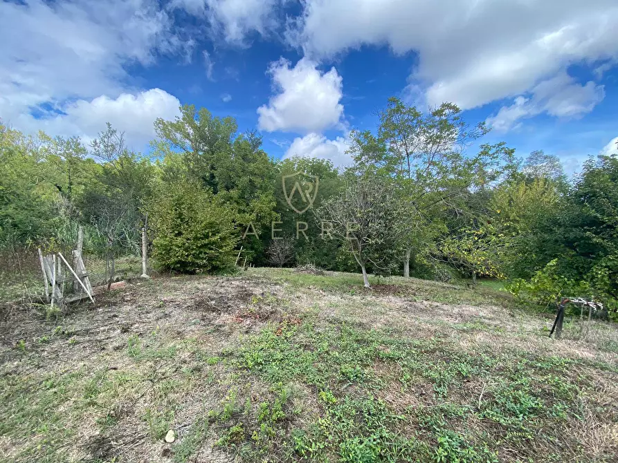 Immagine 6 di Terreno agricolo in vendita  in Via Giovanni Verga a Cepagatti