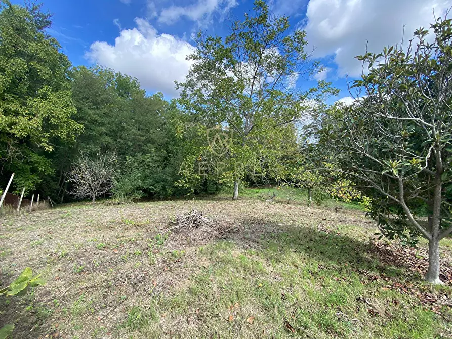 Immagine 7 di Terreno agricolo in vendita  in Via Giovanni Verga a Cepagatti