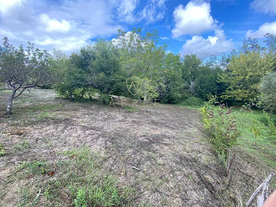Immagine 8 di Terreno agricolo in vendita  in Via Giovanni Verga a Cepagatti