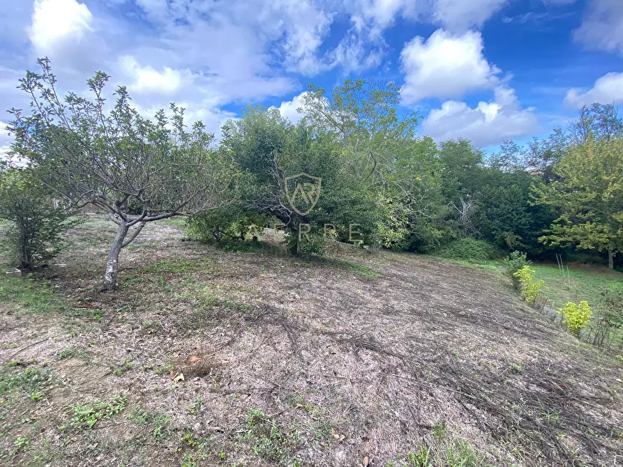 Immagine 9 di Terreno agricolo in vendita  in Via Giovanni Verga a Cepagatti