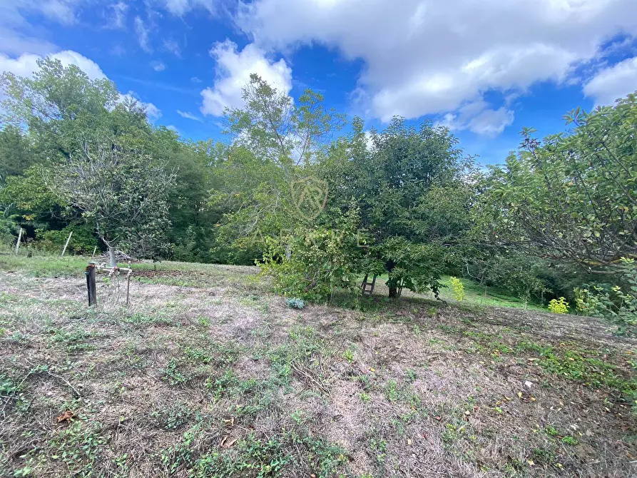 Immagine 10 di Terreno agricolo in vendita  in Via Giovanni Verga a Cepagatti