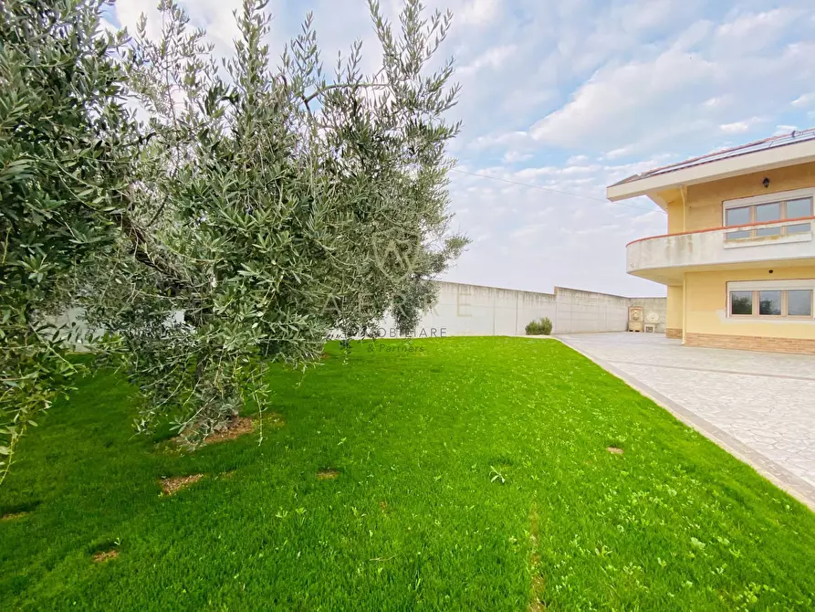 Immagine 23 di Casa semindipendente in vendita  in Contrada Arenaro 13 a Francavilla Al Mare