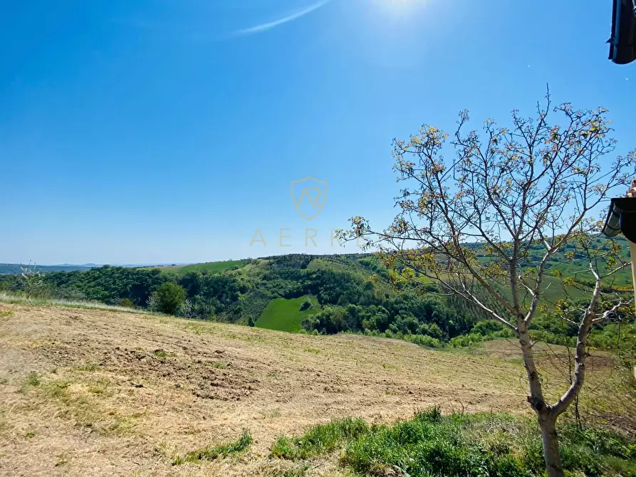 Immagine 2 di Terreno agricolo in vendita  in C.da Campo Mirabello a Brittoli