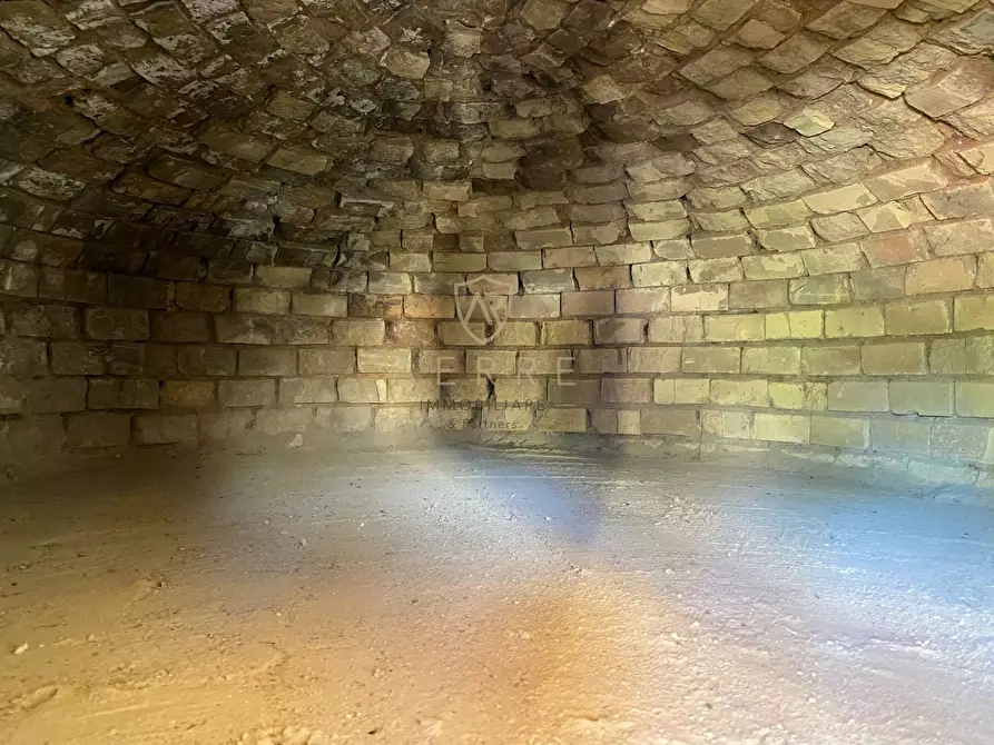 Immagine 7 di Terreno agricolo in vendita  in C.da Campo Mirabello a Brittoli