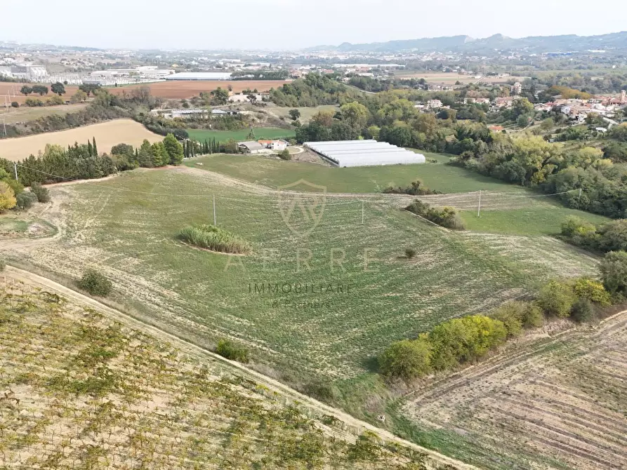terreno agricolo in vendita a Cepagatti in zona Villanova