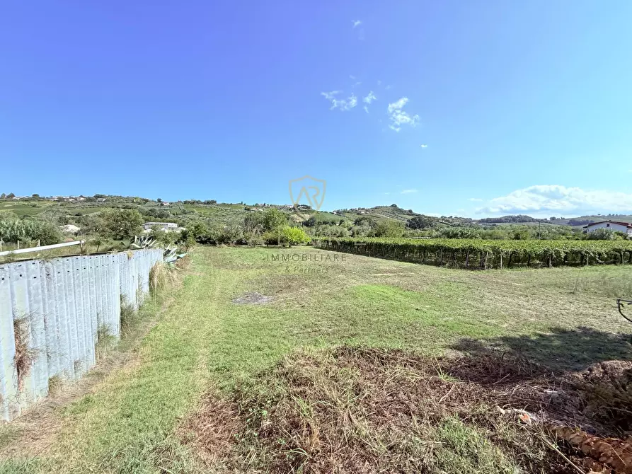 Immagine 11 di Casa indipendente in vendita  in Contrada Val di Foro 61 a Ari