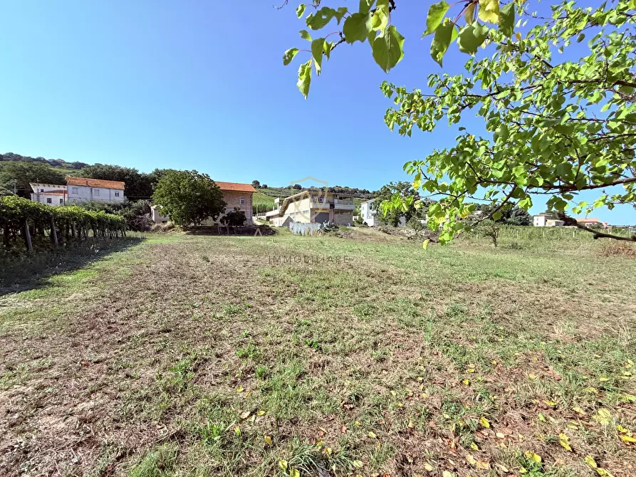 Immagine 39 di Casa indipendente in vendita  in Contrada Val di Foro 61 a Ari