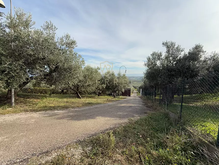 Immagine 47 di Casa indipendente in vendita  in C.da Casale 1 a Brittoli