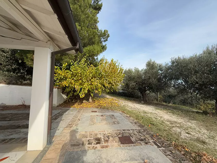 Immagine 42 di Casa indipendente in vendita  in C.da Casale 1 a Brittoli