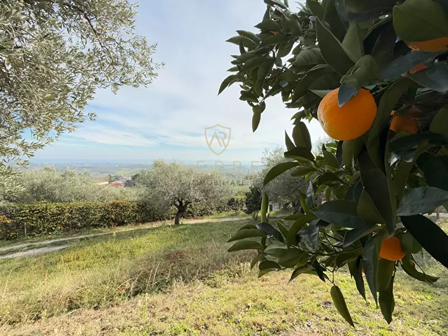 Immagine 43 di Casa indipendente in vendita  in C.da Casale 1 a Brittoli