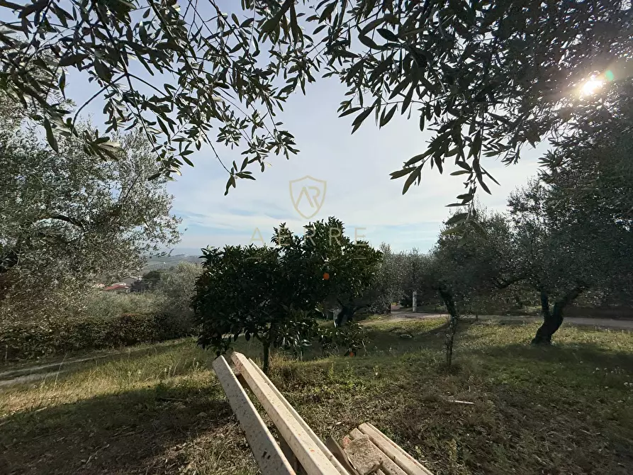 Immagine 44 di Casa indipendente in vendita  in C.da Casale 1 a Brittoli