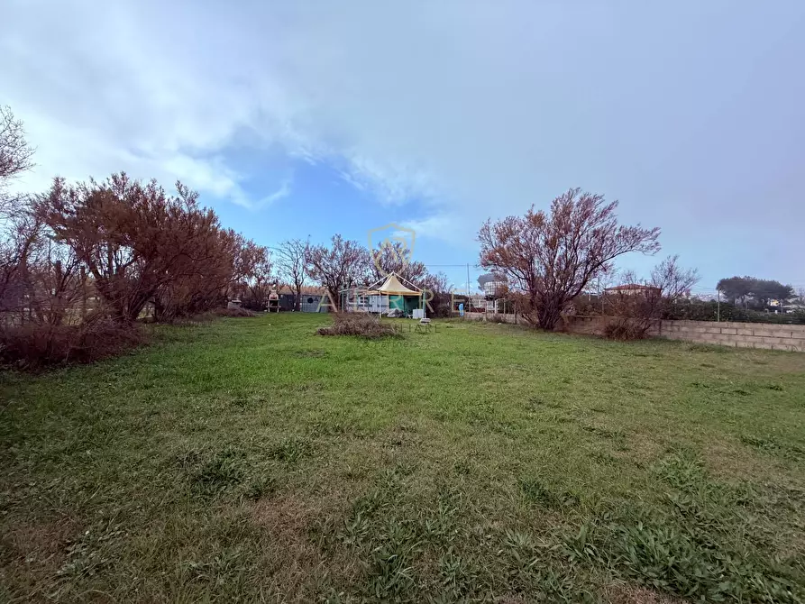 Immagine 3 di Terreno agricolo in vendita  in Via Lungomare a Fossacesia