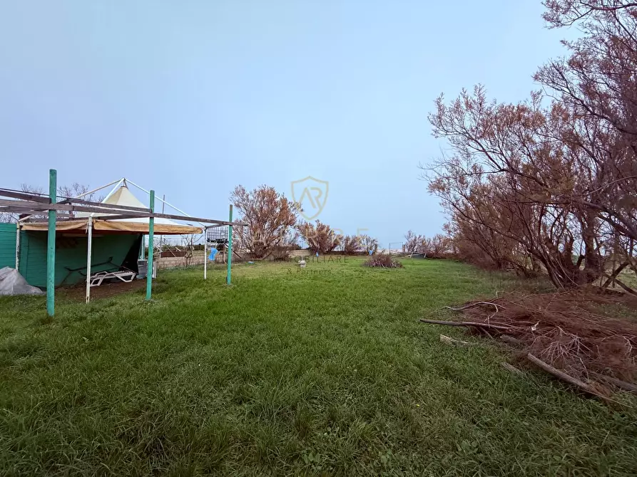 Immagine 4 di Terreno agricolo in vendita  in Via Lungomare a Fossacesia