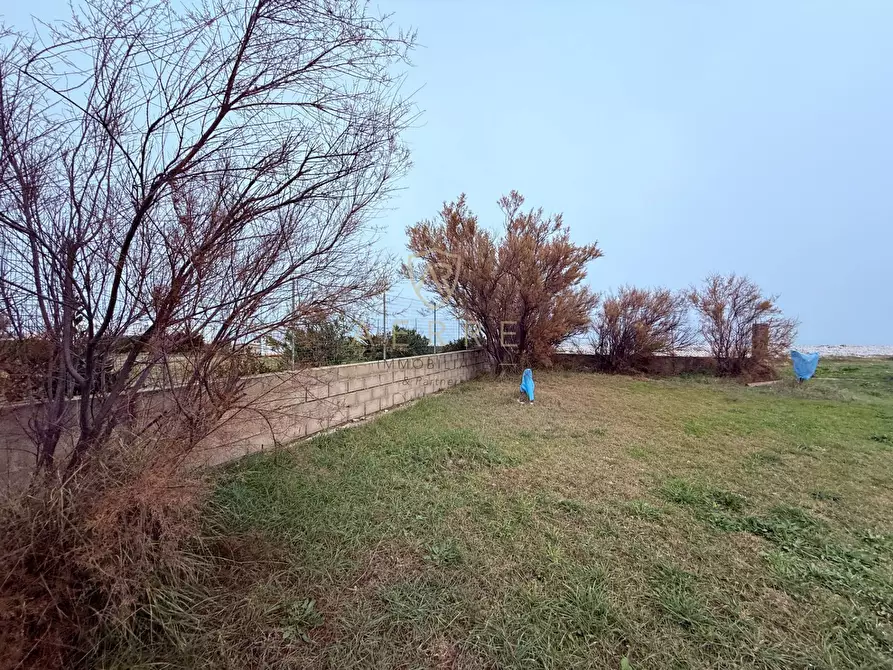 Immagine 6 di Terreno agricolo in vendita  in Via Lungomare a Fossacesia