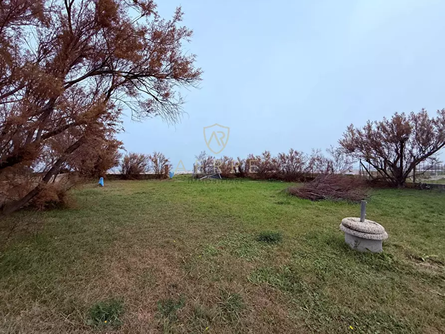 Immagine 7 di Terreno agricolo in vendita  in Via Lungomare a Fossacesia