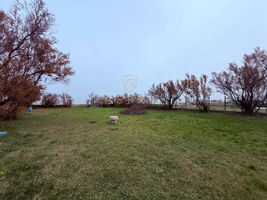 Immagine 2 di Terreno agricolo in vendita  in Via Lungomare a Fossacesia