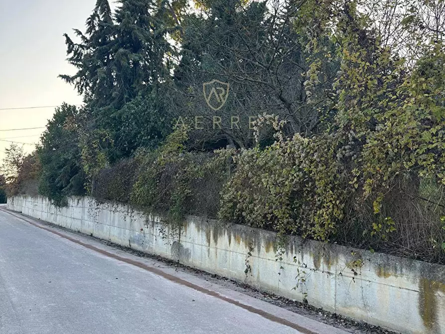 Immagine 4 di Terreno residenziale in vendita  in via Pò a Cepagatti