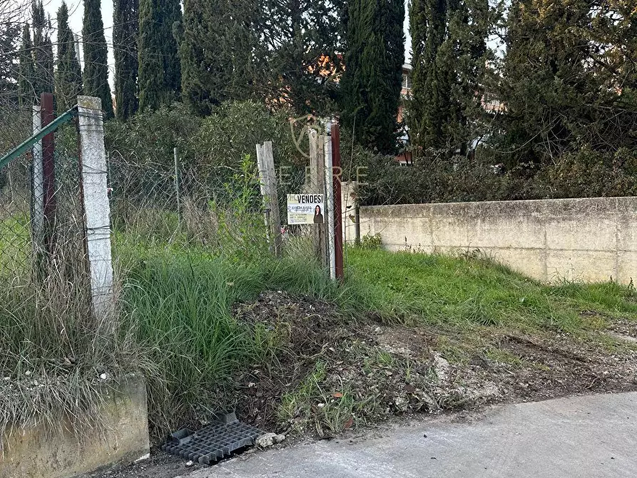 Immagine 6 di Terreno residenziale in vendita  in via Pò a Cepagatti