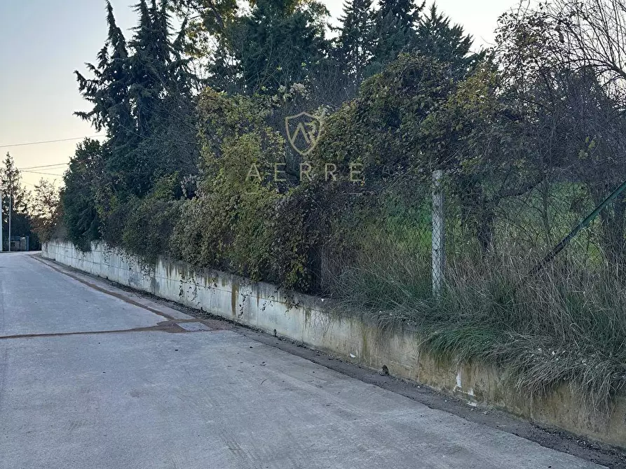 Immagine 7 di Terreno residenziale in vendita  in via Pò a Cepagatti
