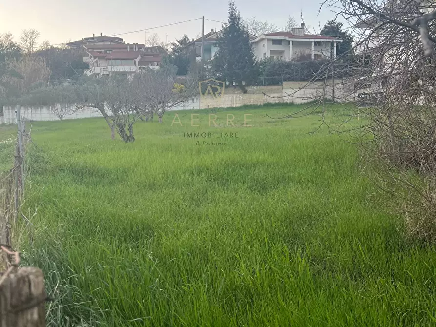 Immagine 3 di Terreno residenziale in vendita  in Via Po a Cepagatti