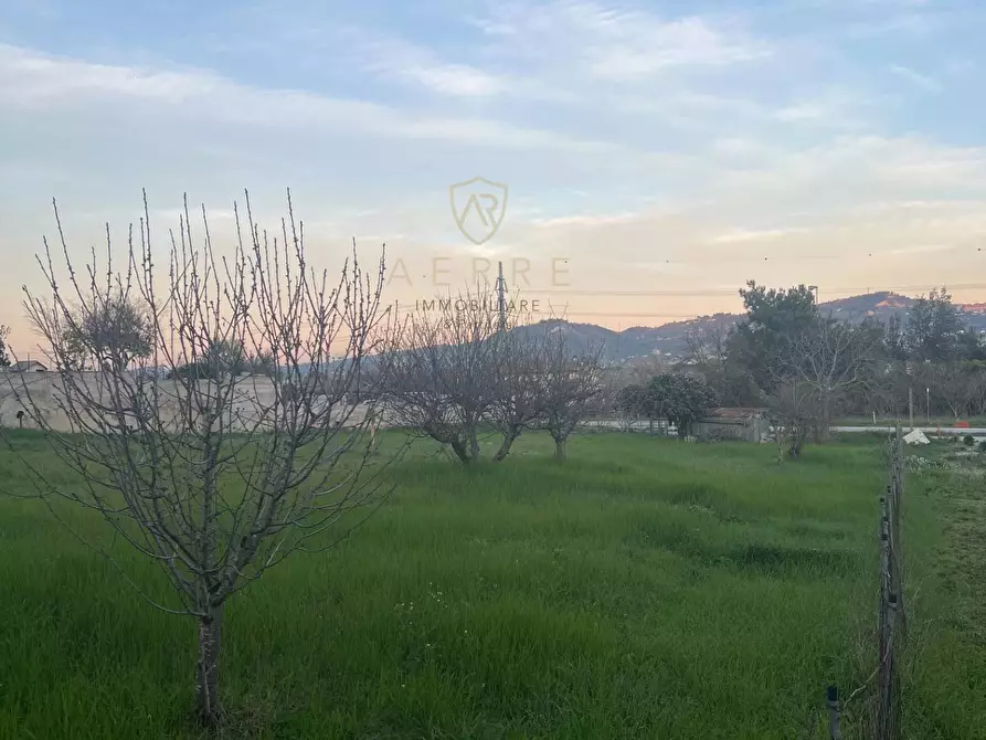 Immagine 6 di Terreno residenziale in vendita  in Via Po a Cepagatti