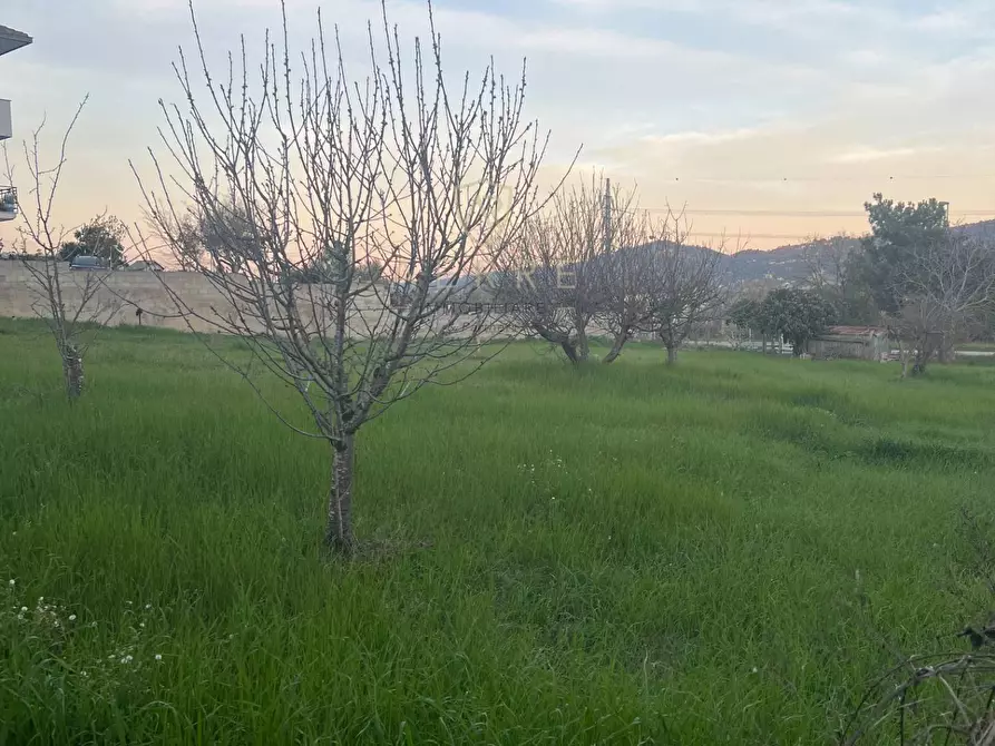 Immagine 7 di Terreno residenziale in vendita  in Via Po a Cepagatti