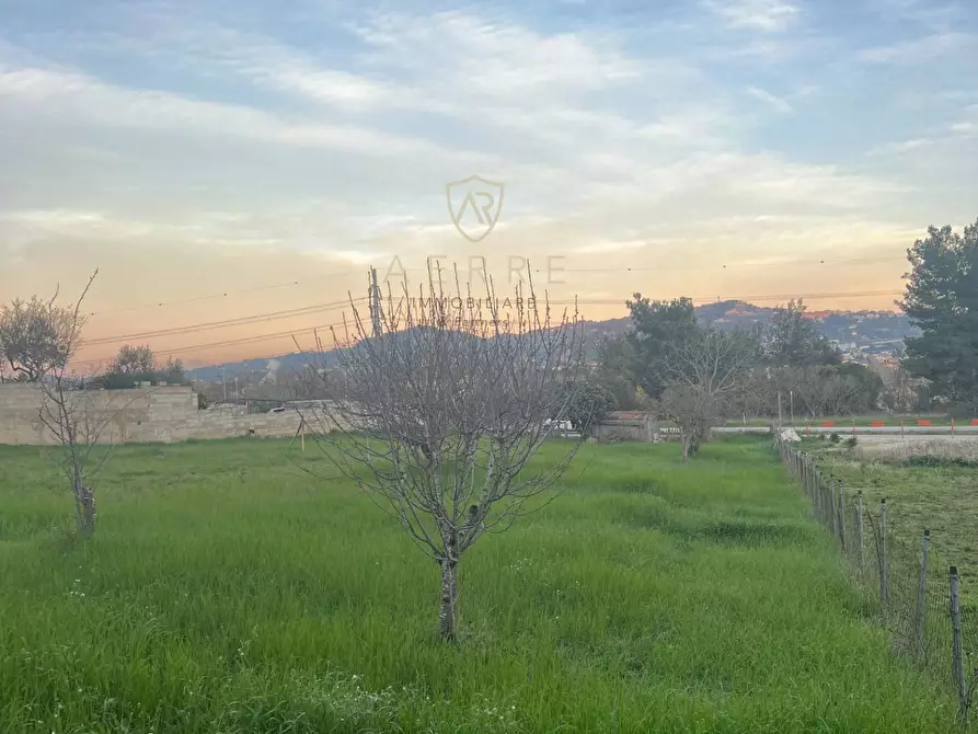 Immagine 8 di Terreno residenziale in vendita  in Via Po a Cepagatti