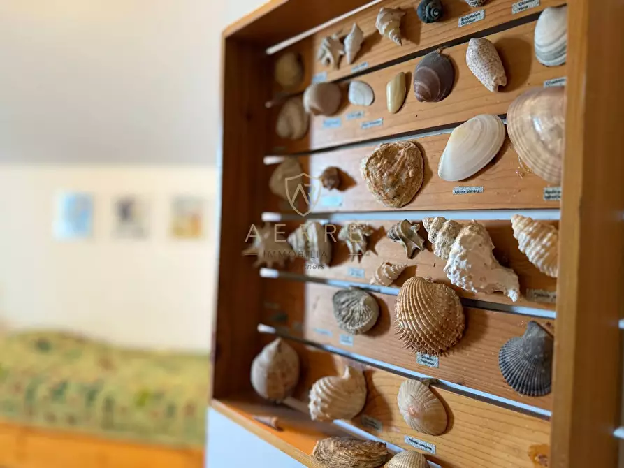 Immagine 30 di Attico in vendita  in Viale Monte Sirente 17 a Francavilla Al Mare