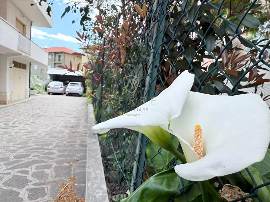 Immagine 2 di Casa indipendente in vendita  in Via Dante Alighieri 94 a Cepagatti