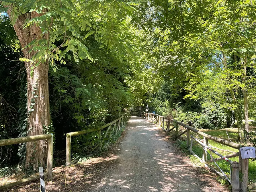 Immagine 21 di Villa in affitto  in Via Giulio Mario Ceccarelli 72 a Rimini